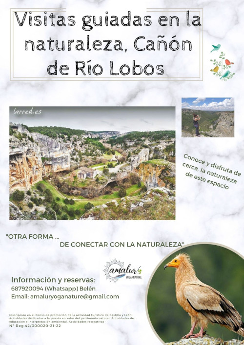 actividades otoño cañon del río lobos