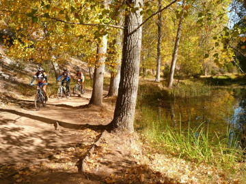 Cañón del Río Lobos - Ruta en bici-btt