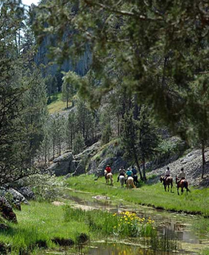 caballos rio lobos