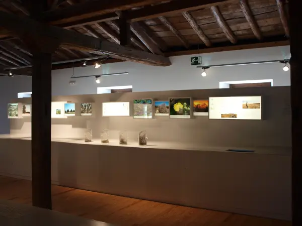 centro de interpretación, cañon del río lobos