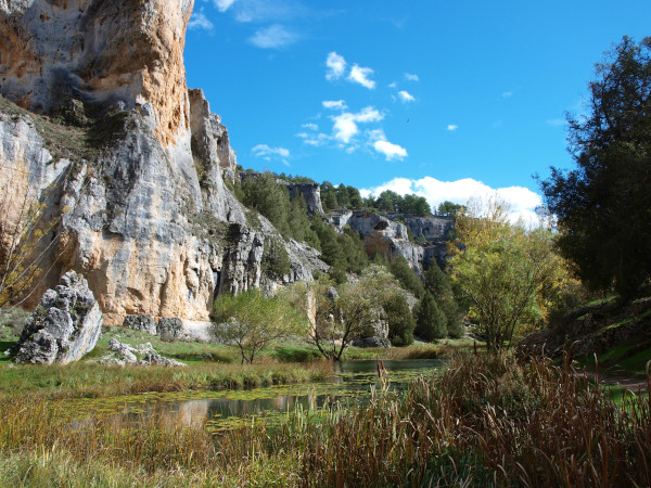 paisaje con nenúfares, cañon del río lobos