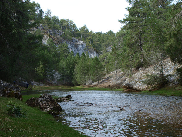 río lobos aguas arriba del puente de los siete ojos, cañon del río lobos