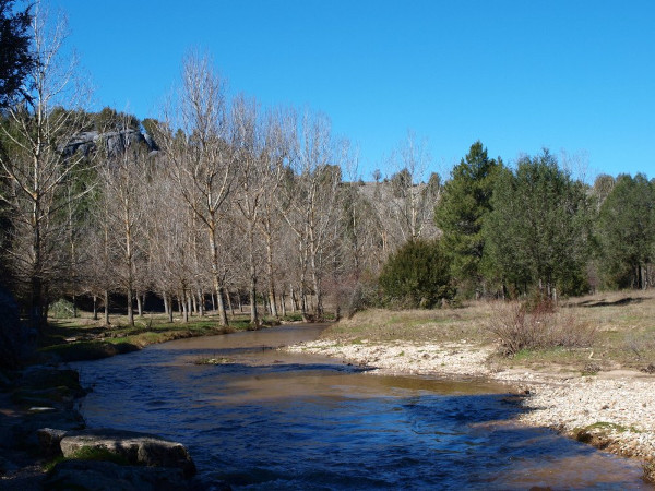 agualinos