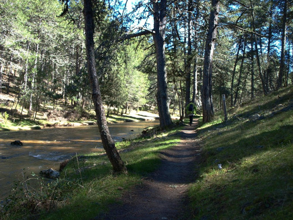 río lobos senda de hontoria