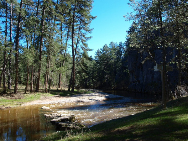 la isla cañon del rio lobos