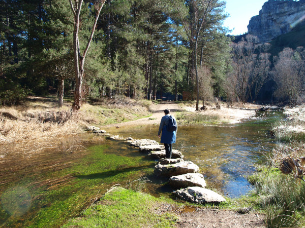 piedras pasaderas para cruzar el río lobos