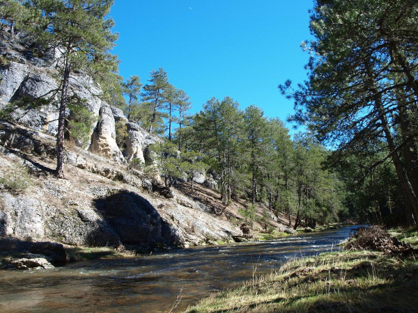 río lobos cerca de hontoria del pinar