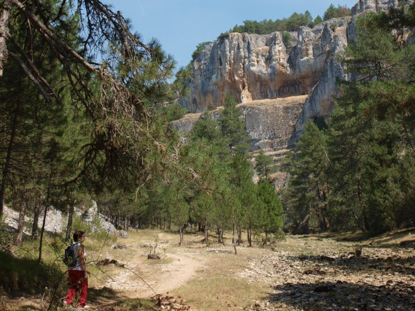 tramo alto del cañon del río lobos en verano