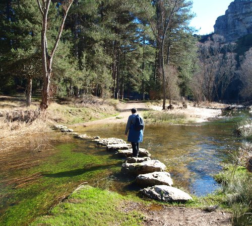 stepping stones to cross the river lobos