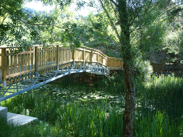 puente peatonal para cruzar el río lobos