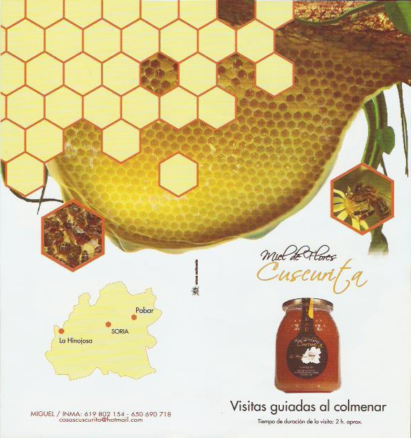 apicultores por un día